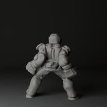 Load image into Gallery viewer, Trinity: Battleground Complete Collection (PDF and .STL)
